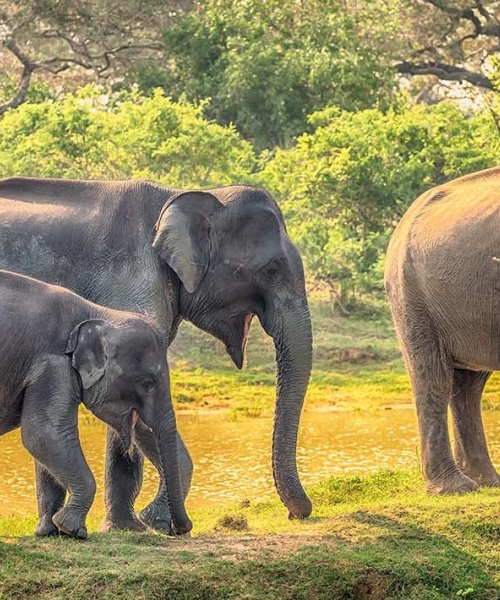 Sri Lanka Destinations