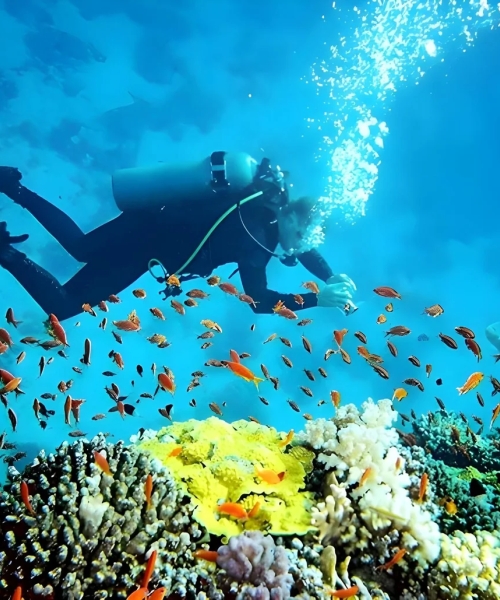 Sri Lanka Destinations